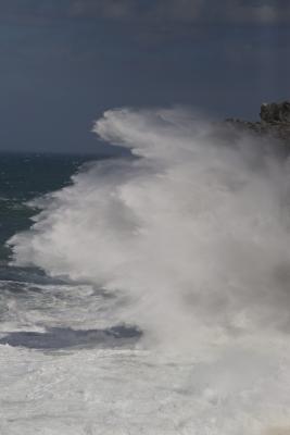 Прикрепленное изображение: IMG_7803_w.jpg